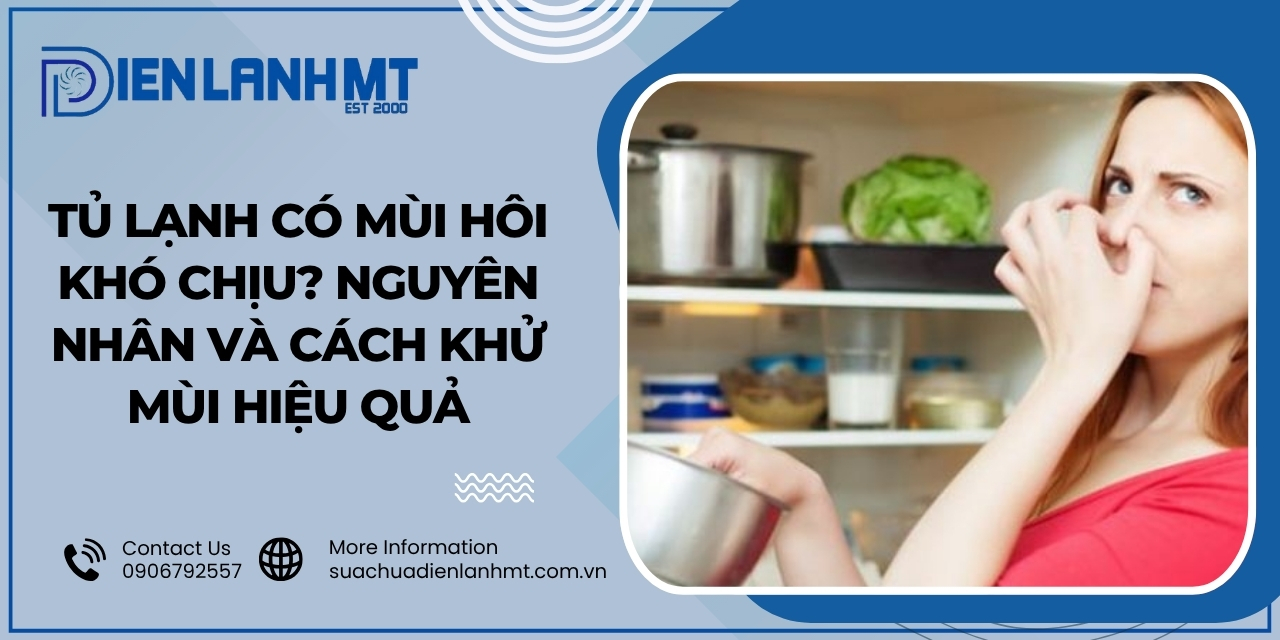 Bụi bẩn và vi khuẩn