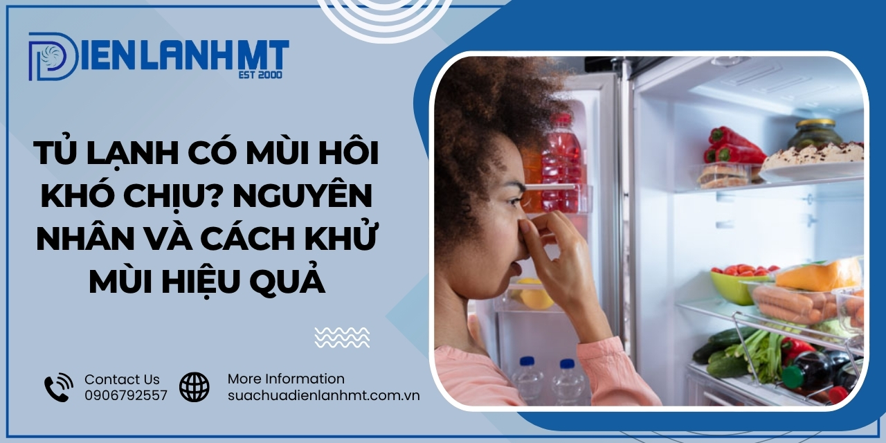 Nguyên nhân gây ra mùi hôi trong tủ lạnh